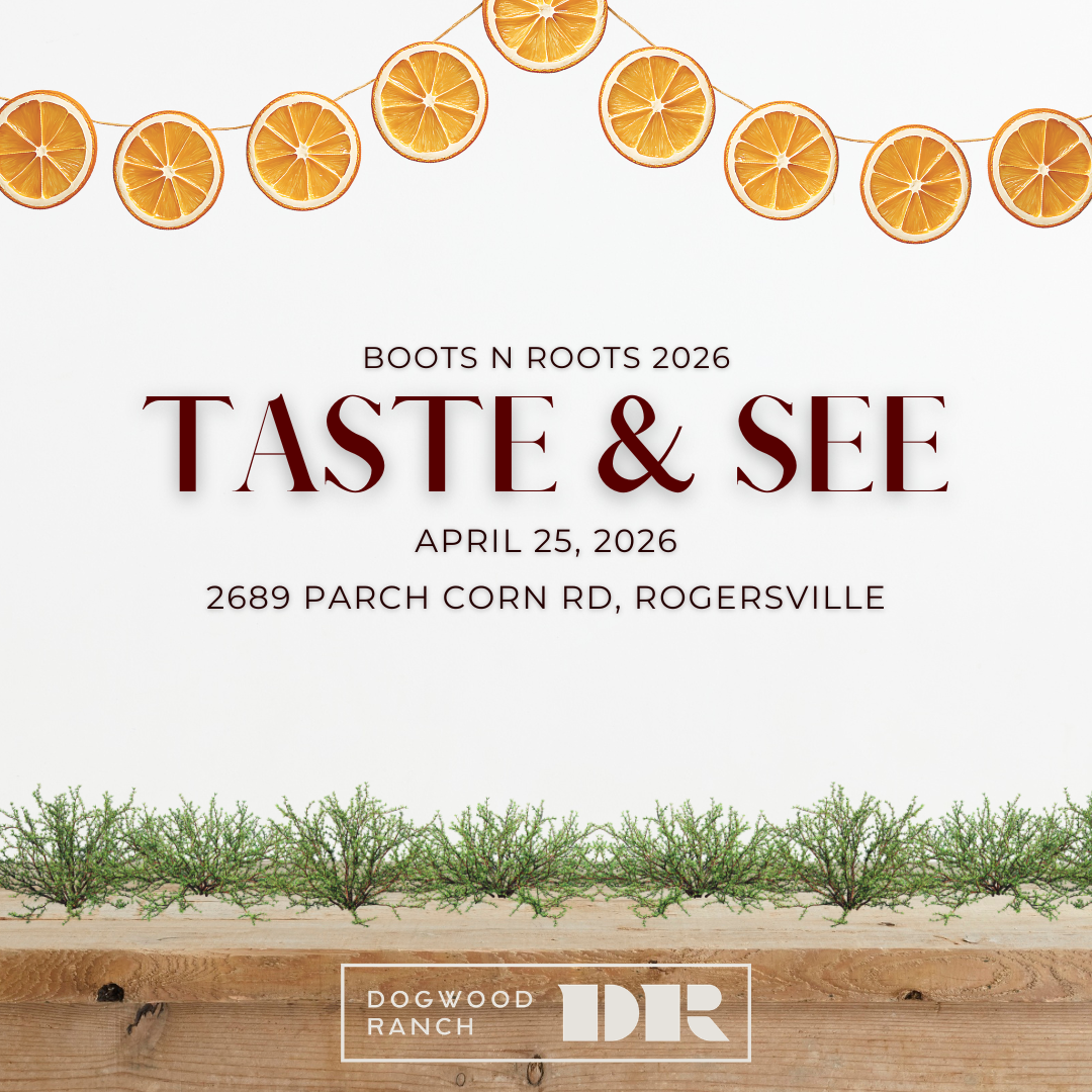 Boots N Roots 2026 - logo